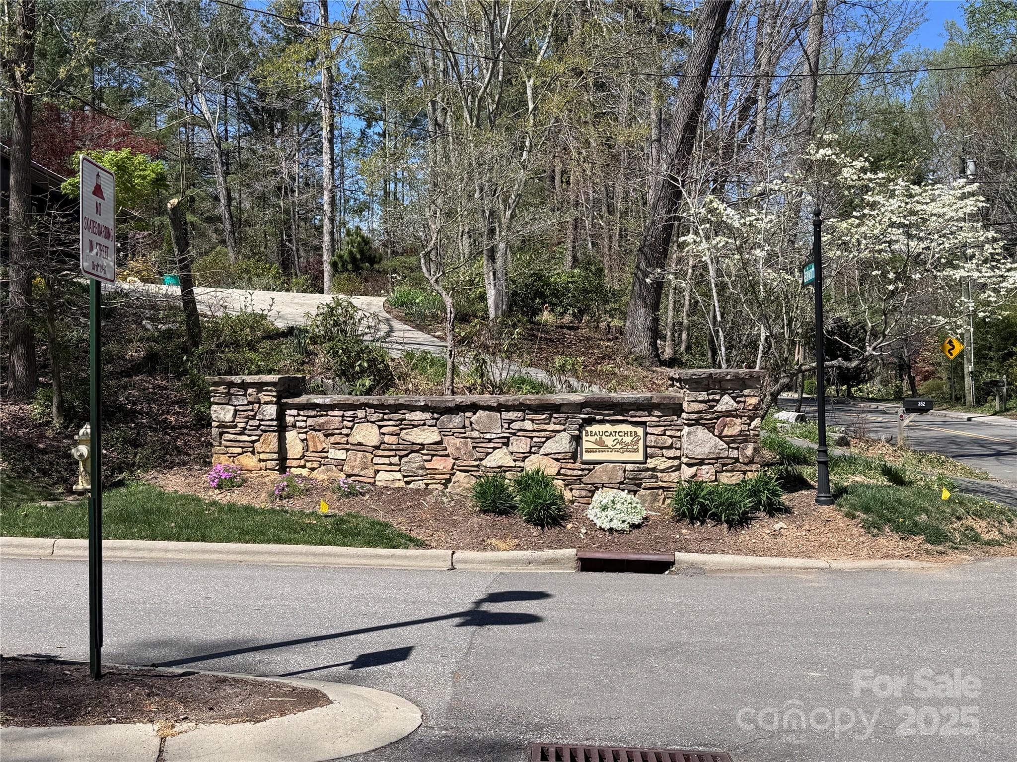 Lot at Asheville, photo 8 of 24