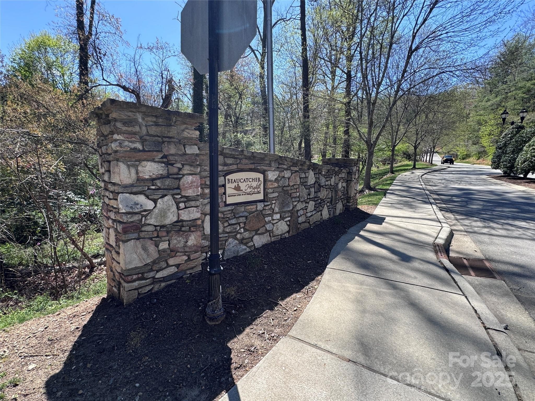 Lot at Asheville, photo 9 of 24