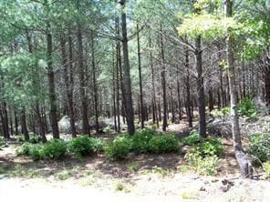Upper Lot - Nebo