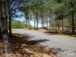Lower Lot - Nebo