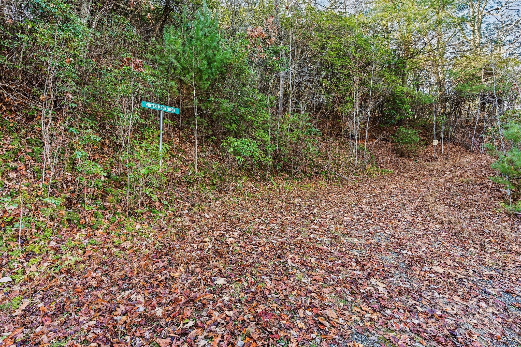 Lot at Sylva, photo 2 of 27