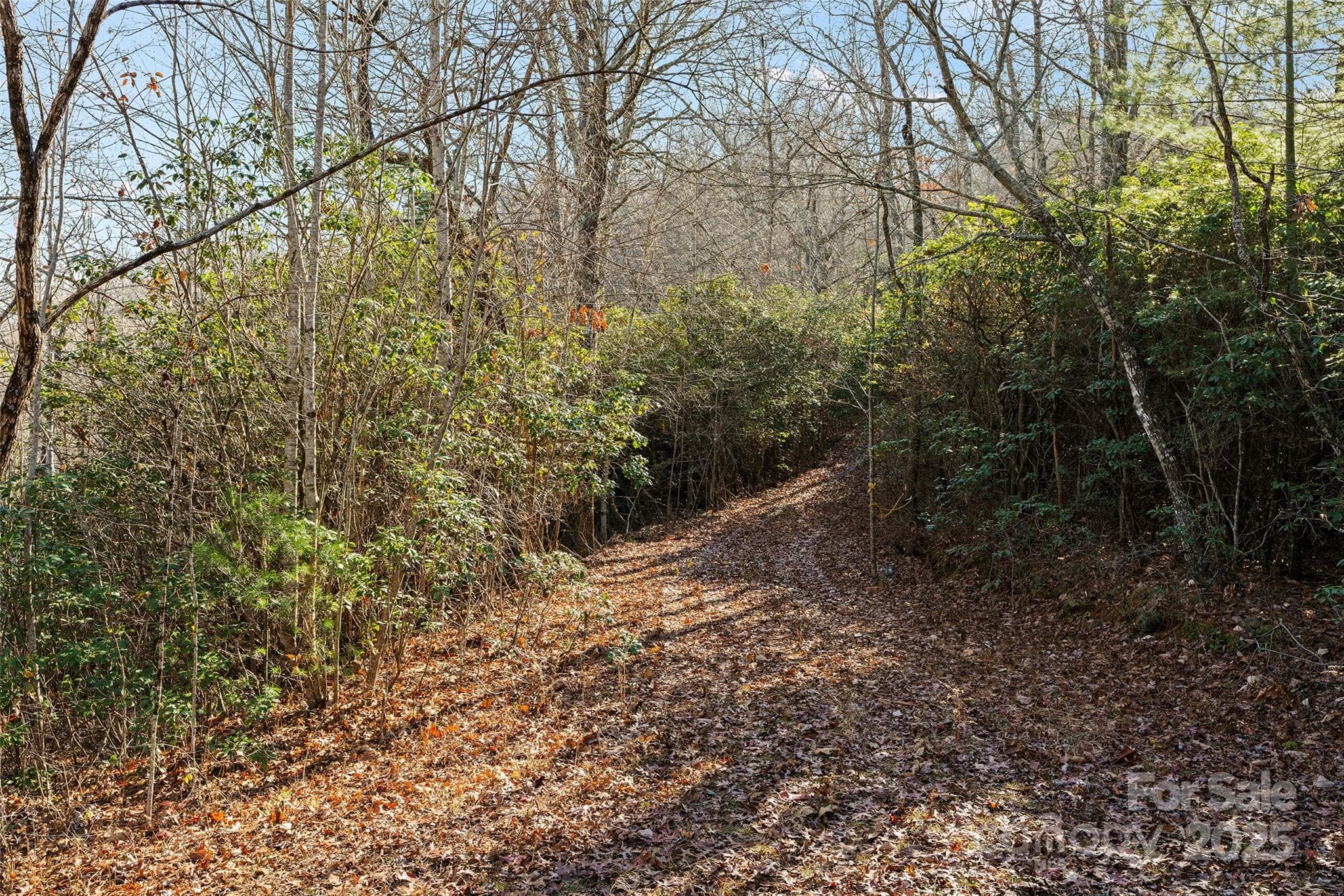 Lot at Sylva, photo 3 of 27