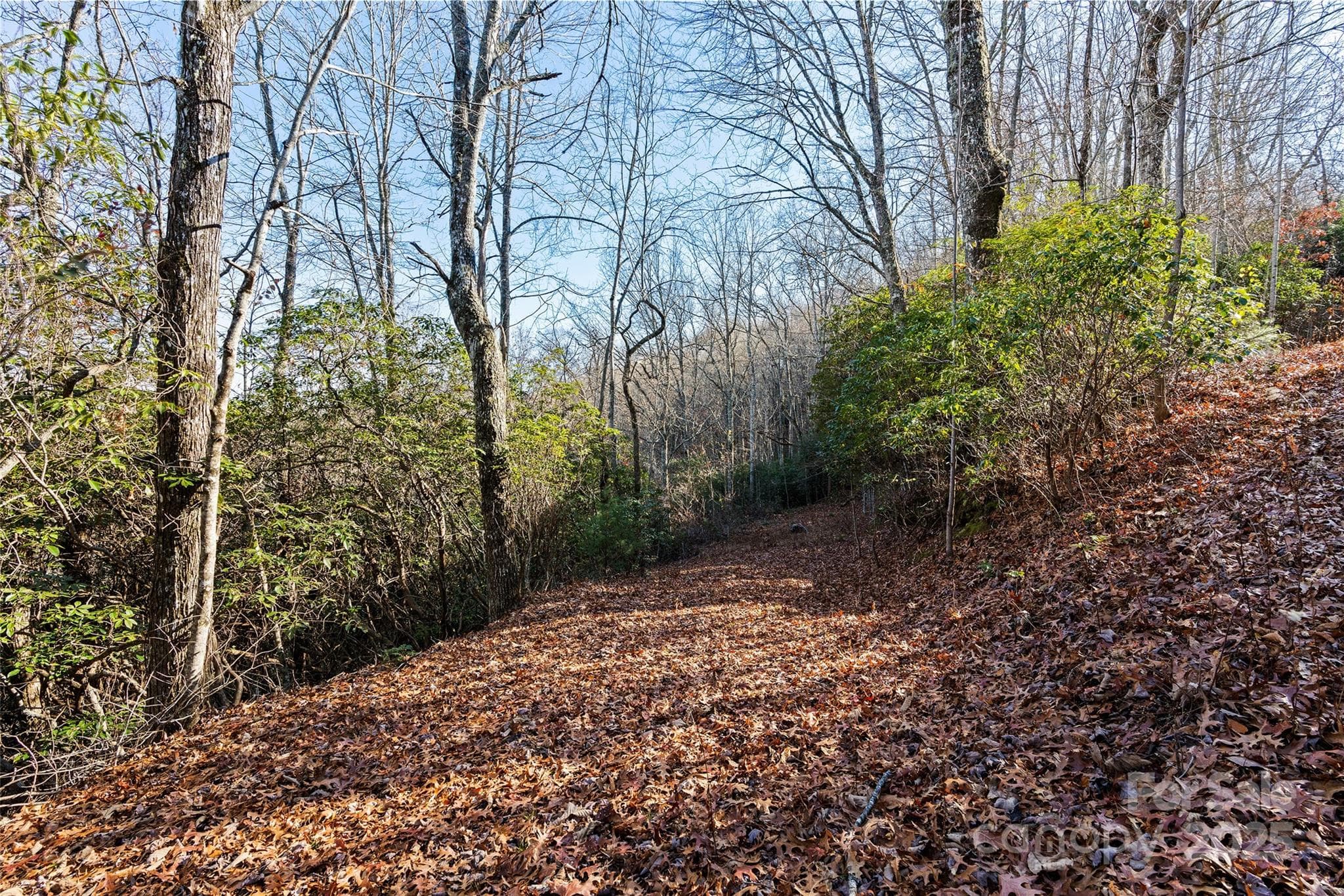 Lot at Sylva, photo 4 of 27