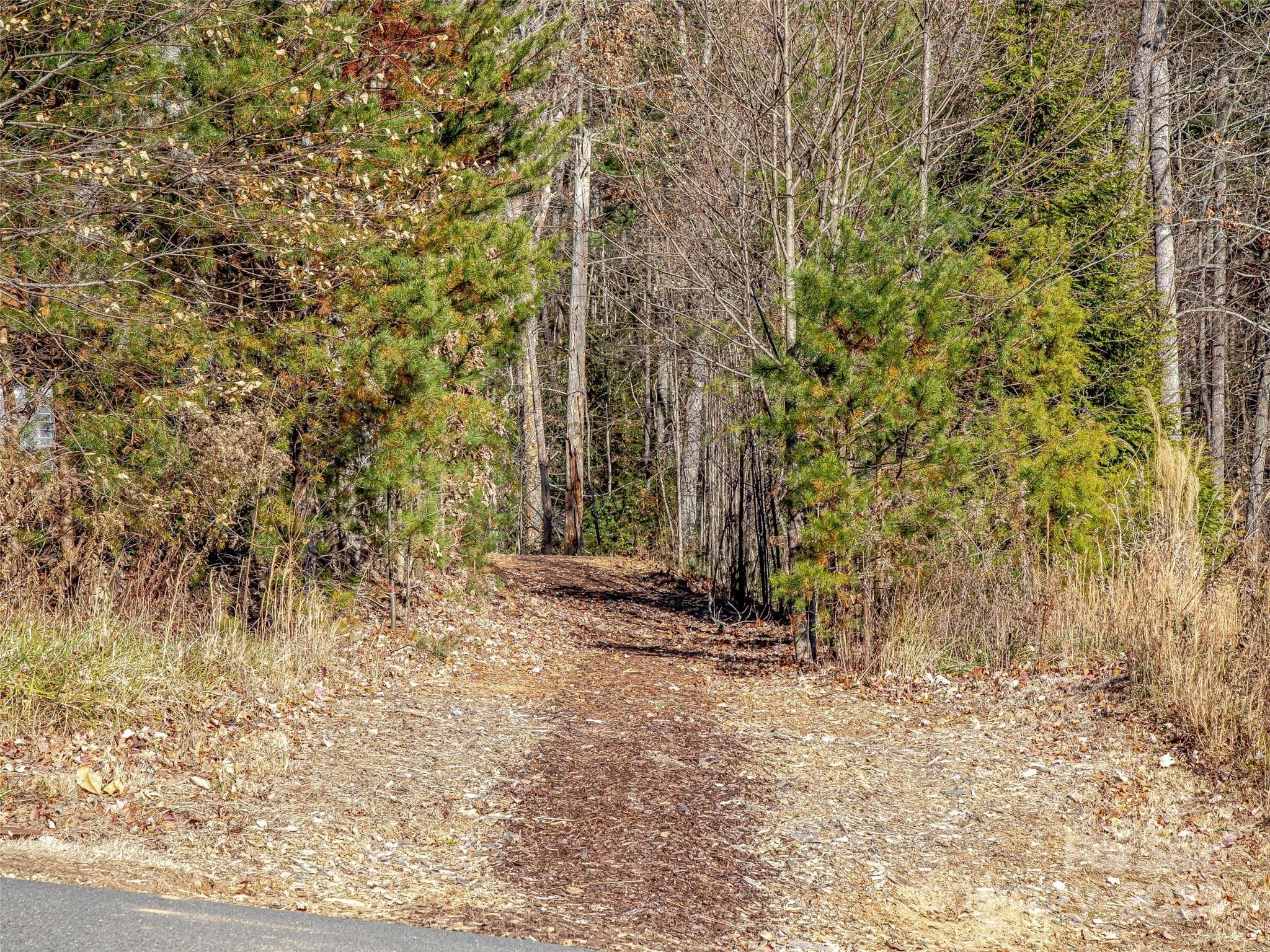 Lot at 36 Slide Rock Way, Fairview, photo 2 of 24