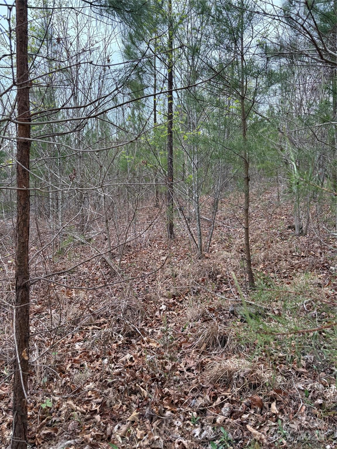 Acreage at Mill Spring, photo 2 of 8
