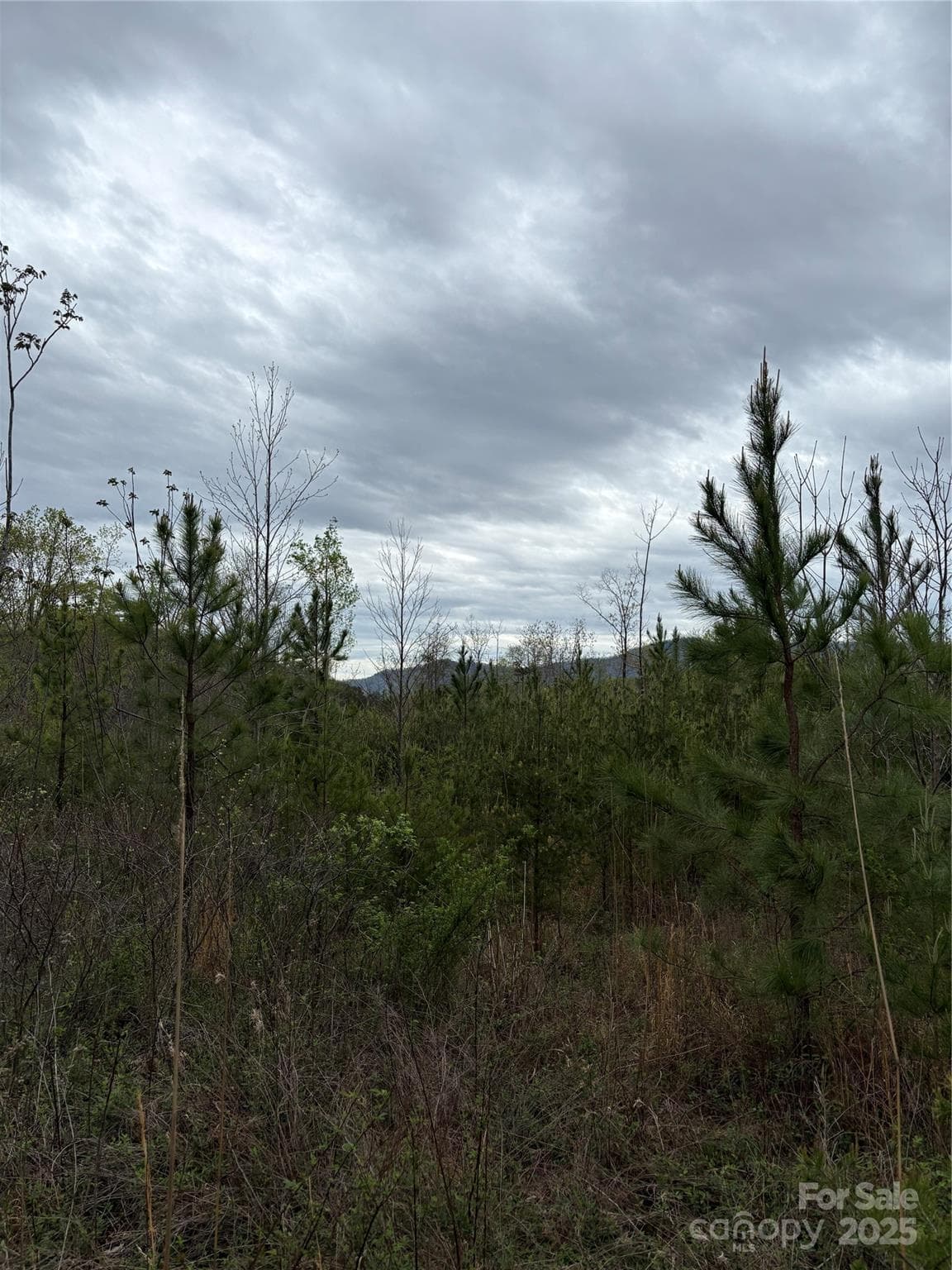 Acreage at Mill Spring, photo 3 of 8
