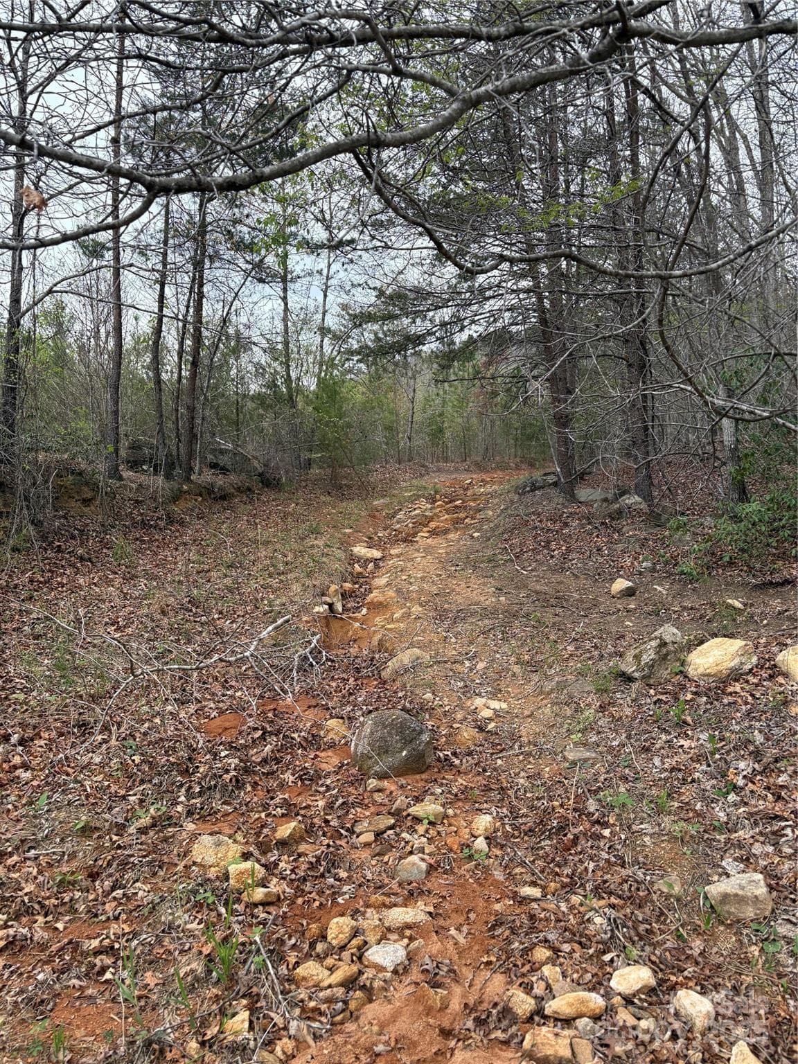Acreage at Mill Spring, photo 4 of 8