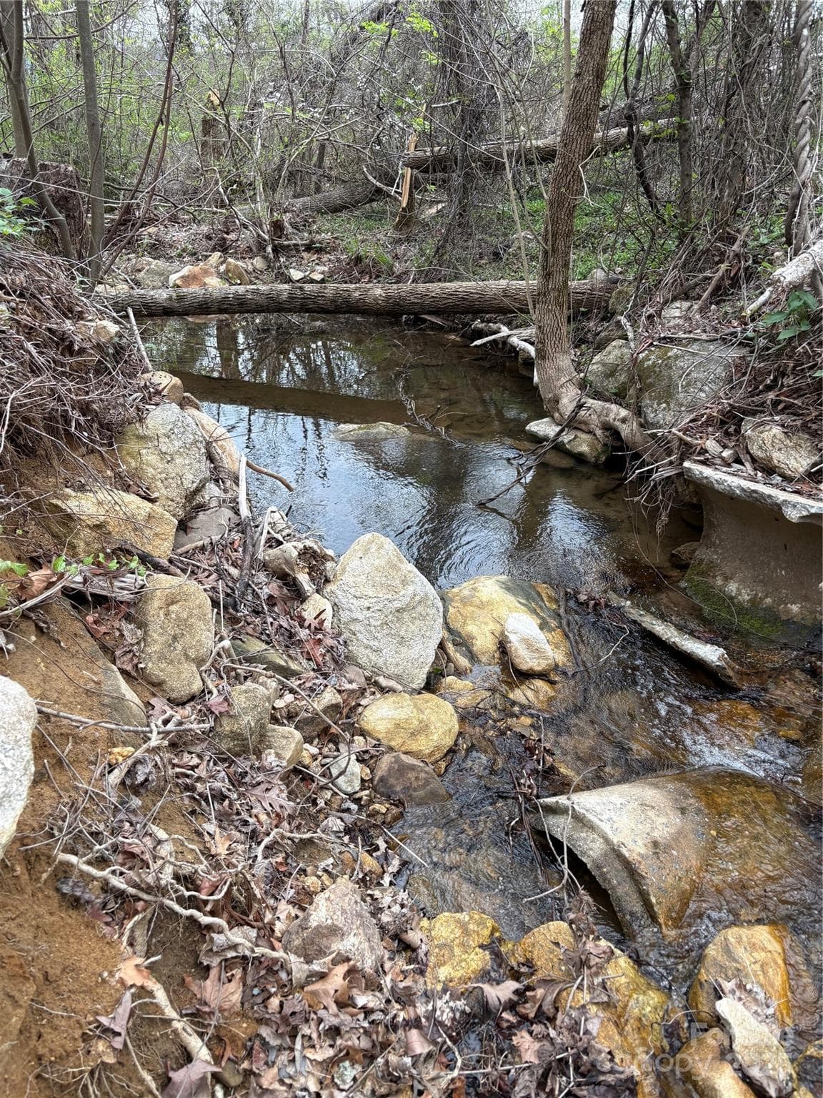 Acreage at Mill Spring, photo 8 of 8