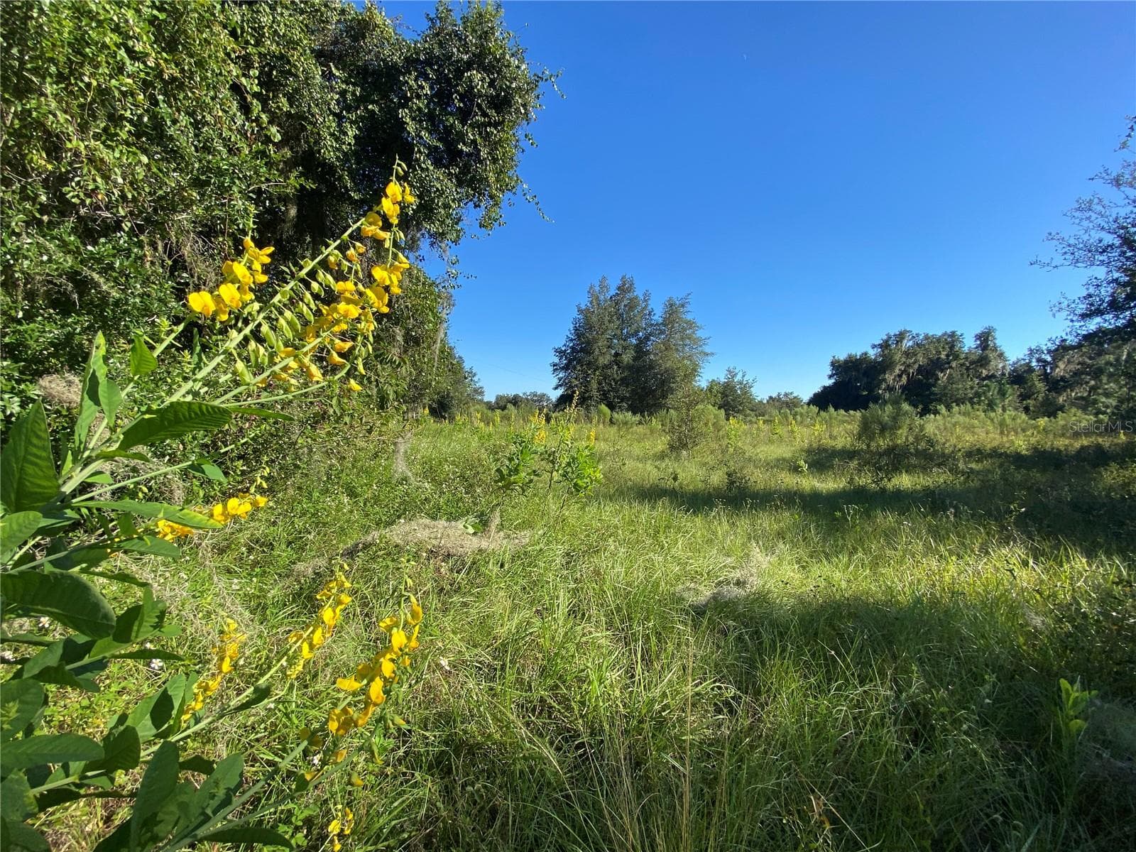 Land at 7373 E SAVANNAH CT, FLORAL CITY, photo 5 of 37