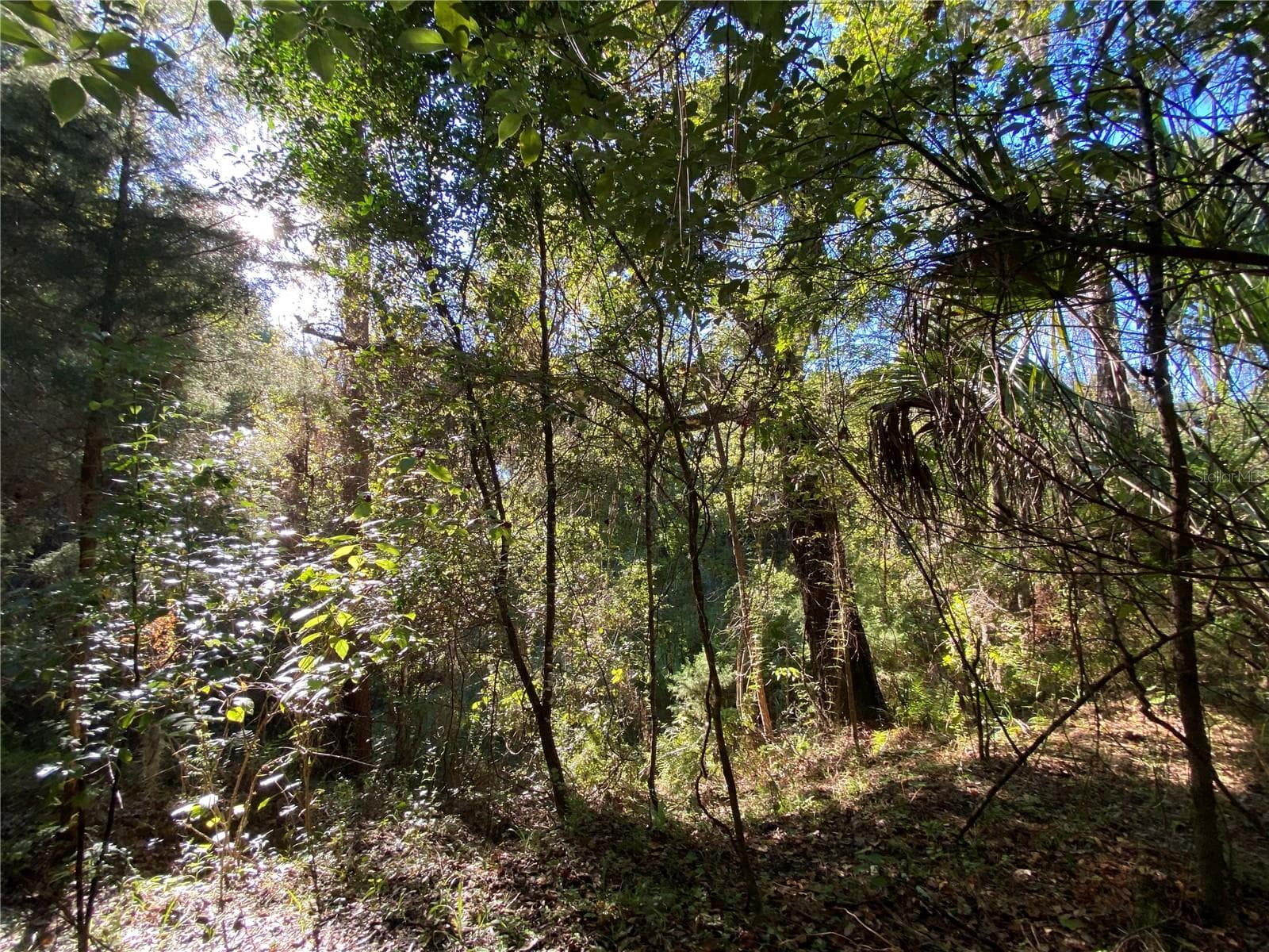 Land at 7373 E SAVANNAH CT, FLORAL CITY, photo 9 of 37