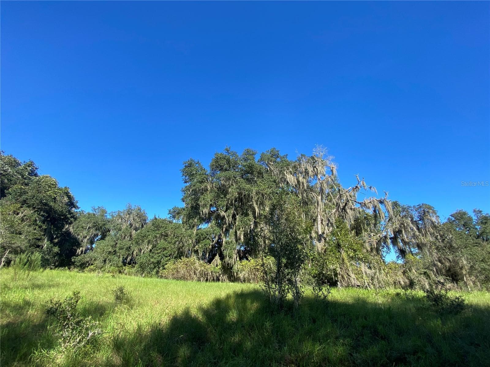 Land at 7373 E SAVANNAH CT, FLORAL CITY, photo 3 of 37