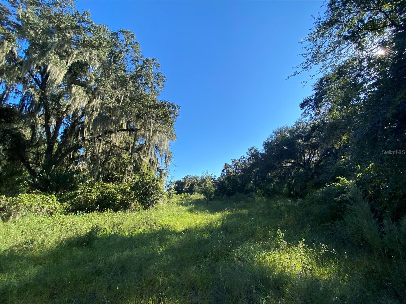 Land at 7373 E SAVANNAH CT, FLORAL CITY, photo 6 of 37