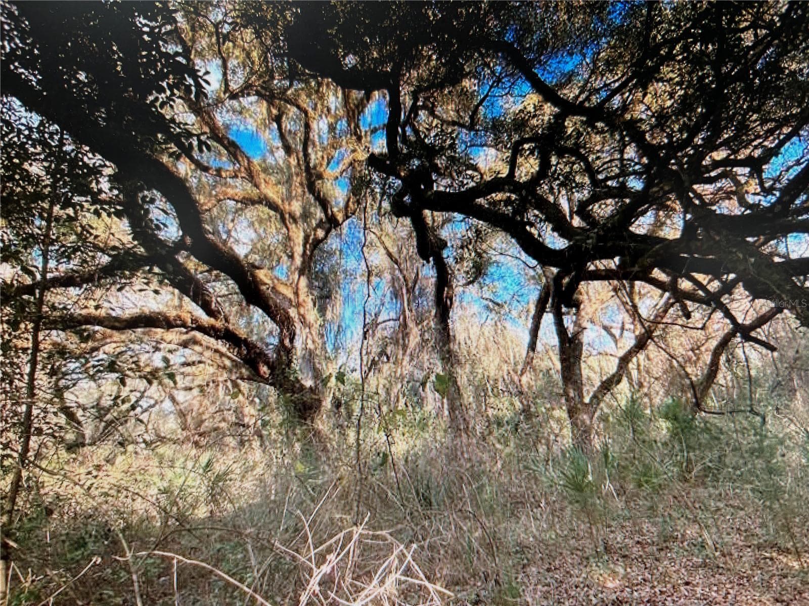 Land at 7373 E SAVANNAH CT, FLORAL CITY, photo 8 of 37
