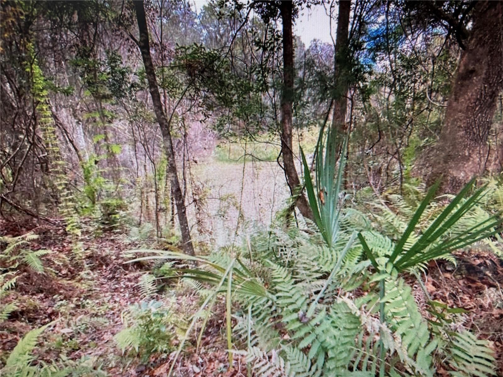 Land at 7373 E SAVANNAH CT, FLORAL CITY, photo 10 of 37