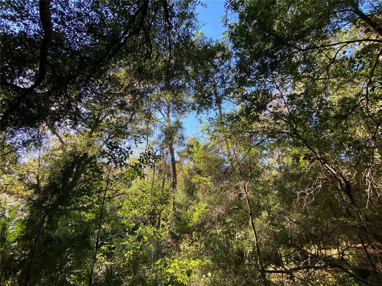 Land at 7373 E SAVANNAH CT, FLORAL CITY, photo 11 of 37