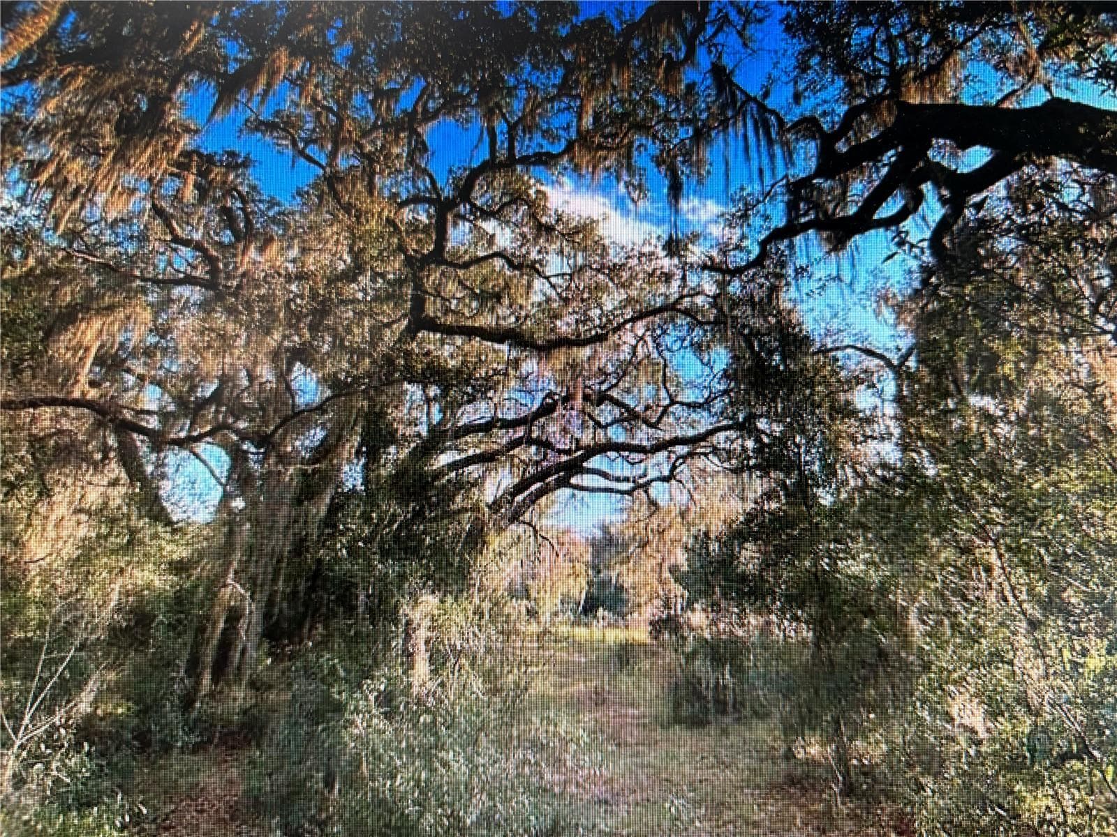 Land at 7373 E SAVANNAH CT, FLORAL CITY, photo 13 of 37
