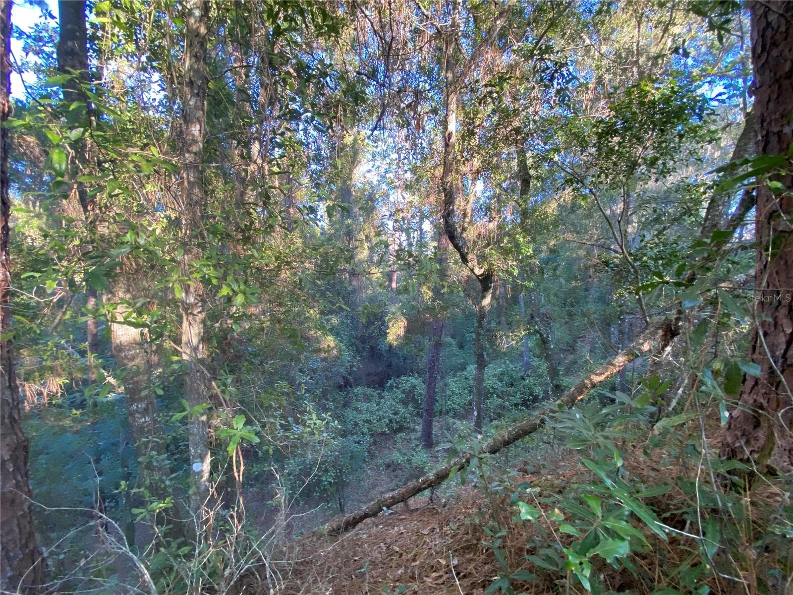 Land at 7373 E SAVANNAH CT, FLORAL CITY, photo 15 of 37
