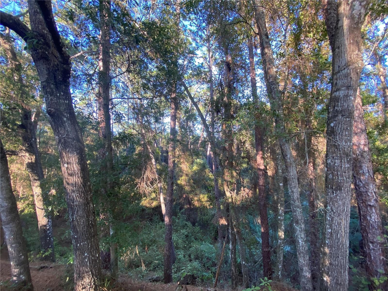 Land at 7373 E SAVANNAH CT, FLORAL CITY, photo 16 of 37