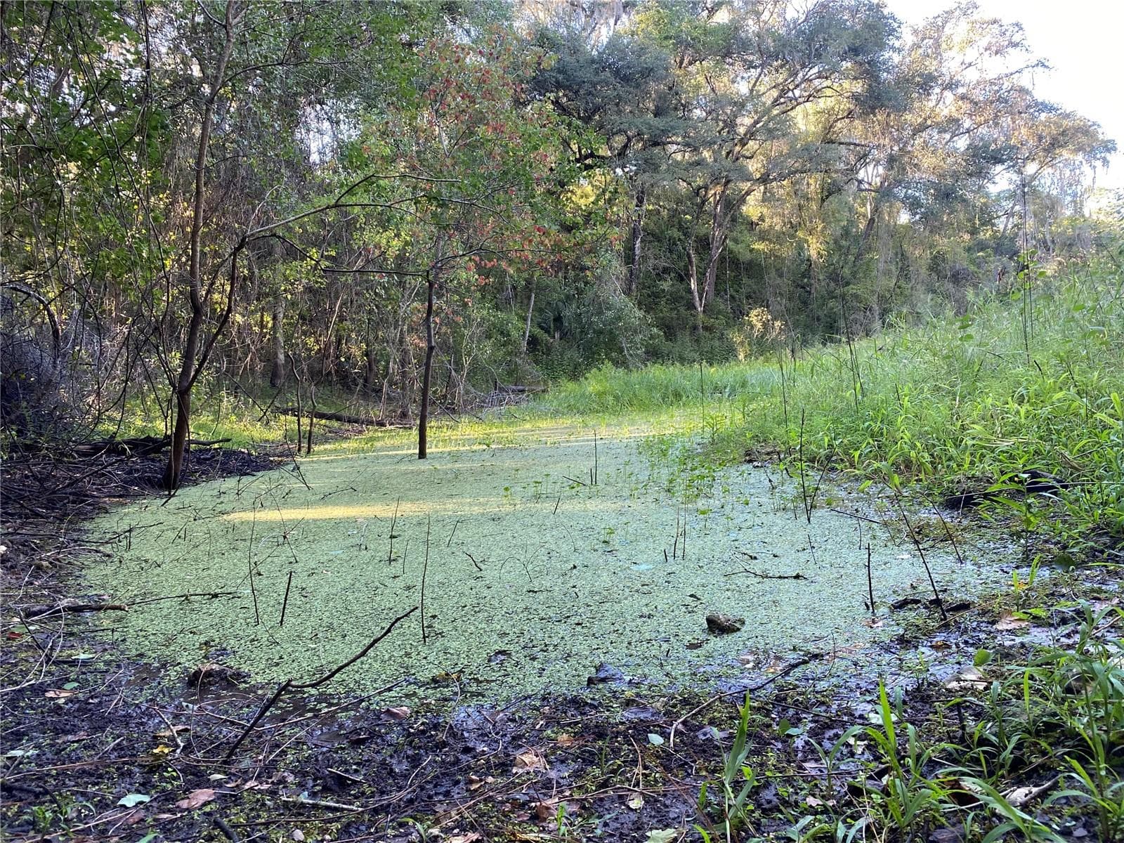 Land at 7373 E SAVANNAH CT, FLORAL CITY, photo 21 of 37