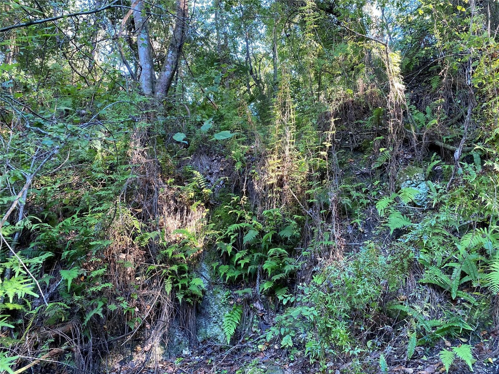 Land at 7373 E SAVANNAH CT, FLORAL CITY, photo 23 of 37
