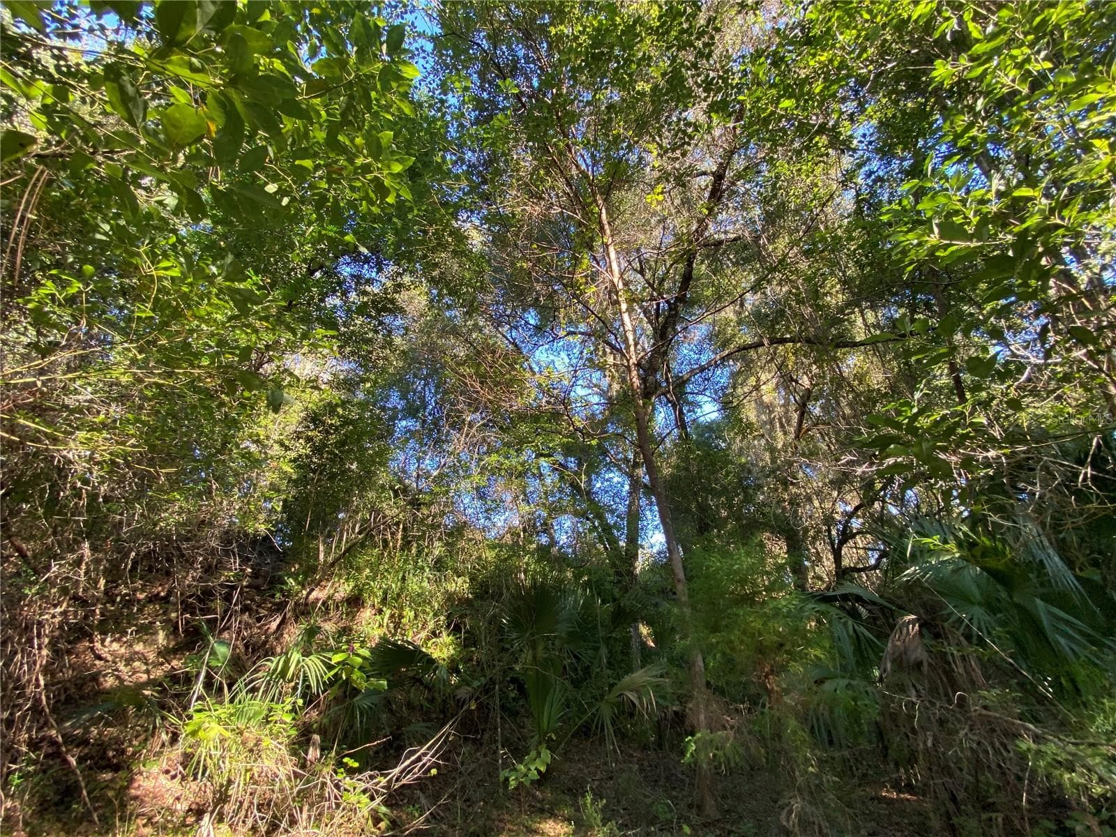Land at 7373 E SAVANNAH CT, FLORAL CITY, photo 27 of 37