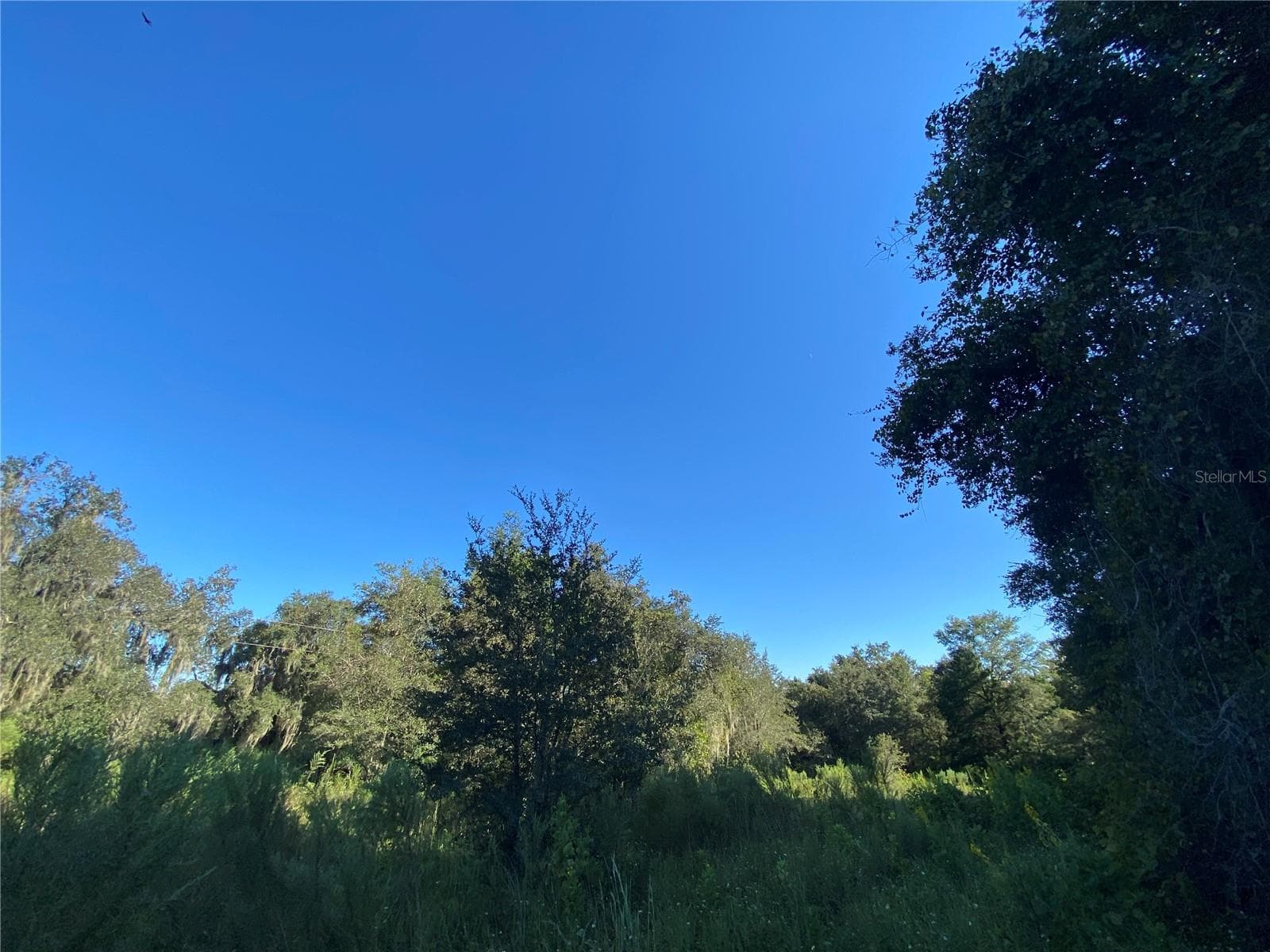 Land at 7373 E SAVANNAH CT, FLORAL CITY, photo 29 of 37
