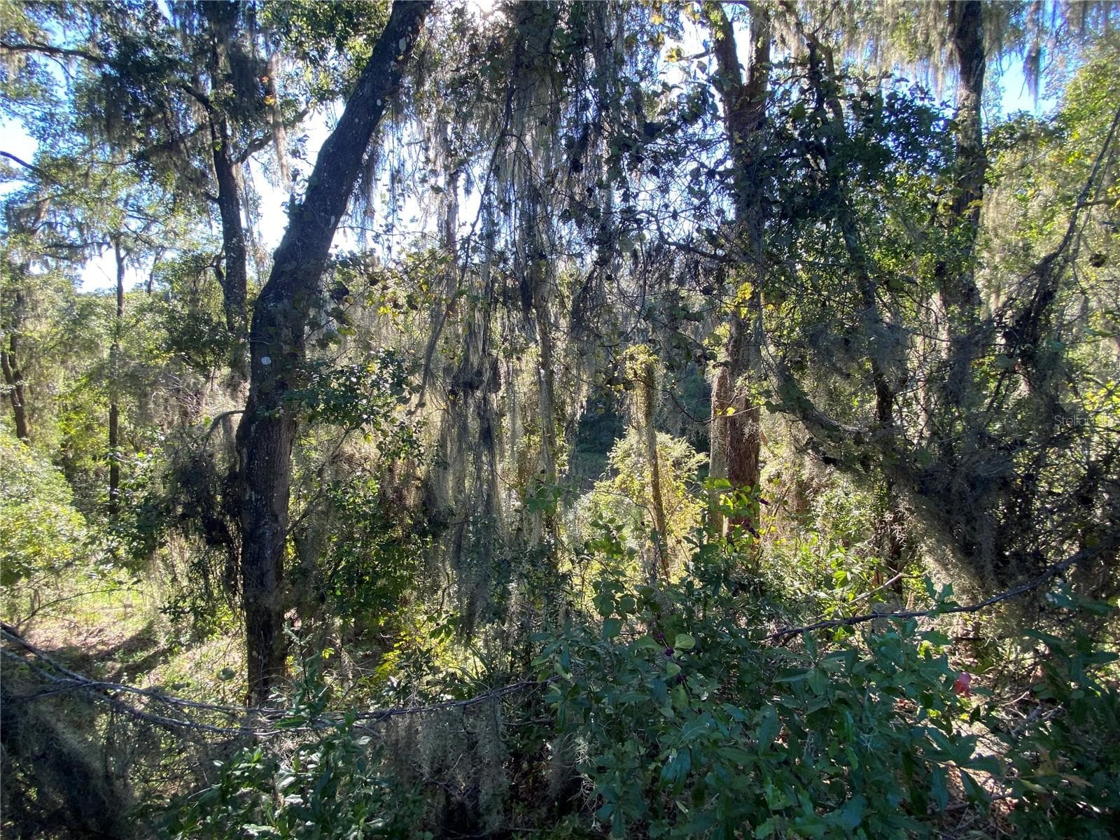 Land at 7373 E SAVANNAH CT, FLORAL CITY, photo 32 of 37