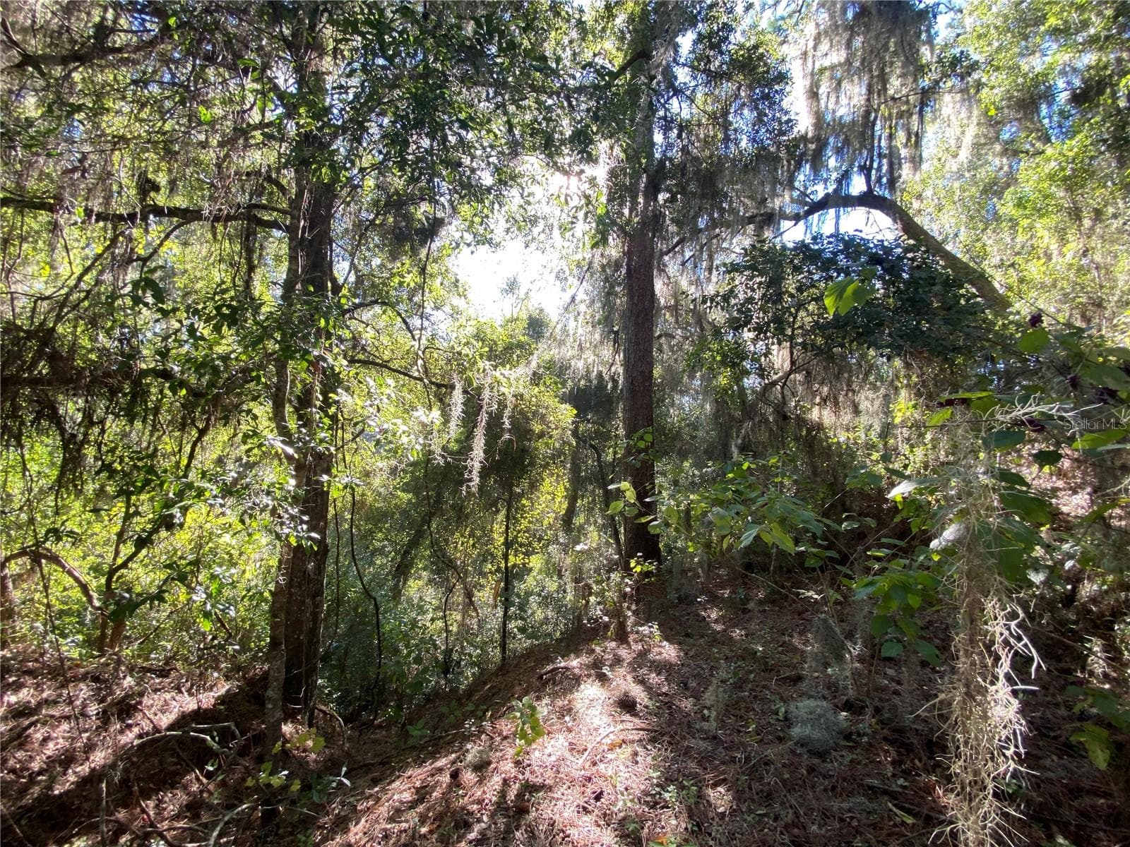 Land at 7373 E SAVANNAH CT, FLORAL CITY, photo 33 of 37