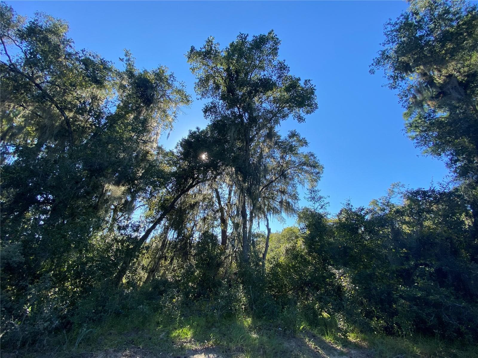 Land at 7373 E SAVANNAH CT, FLORAL CITY, photo 34 of 37