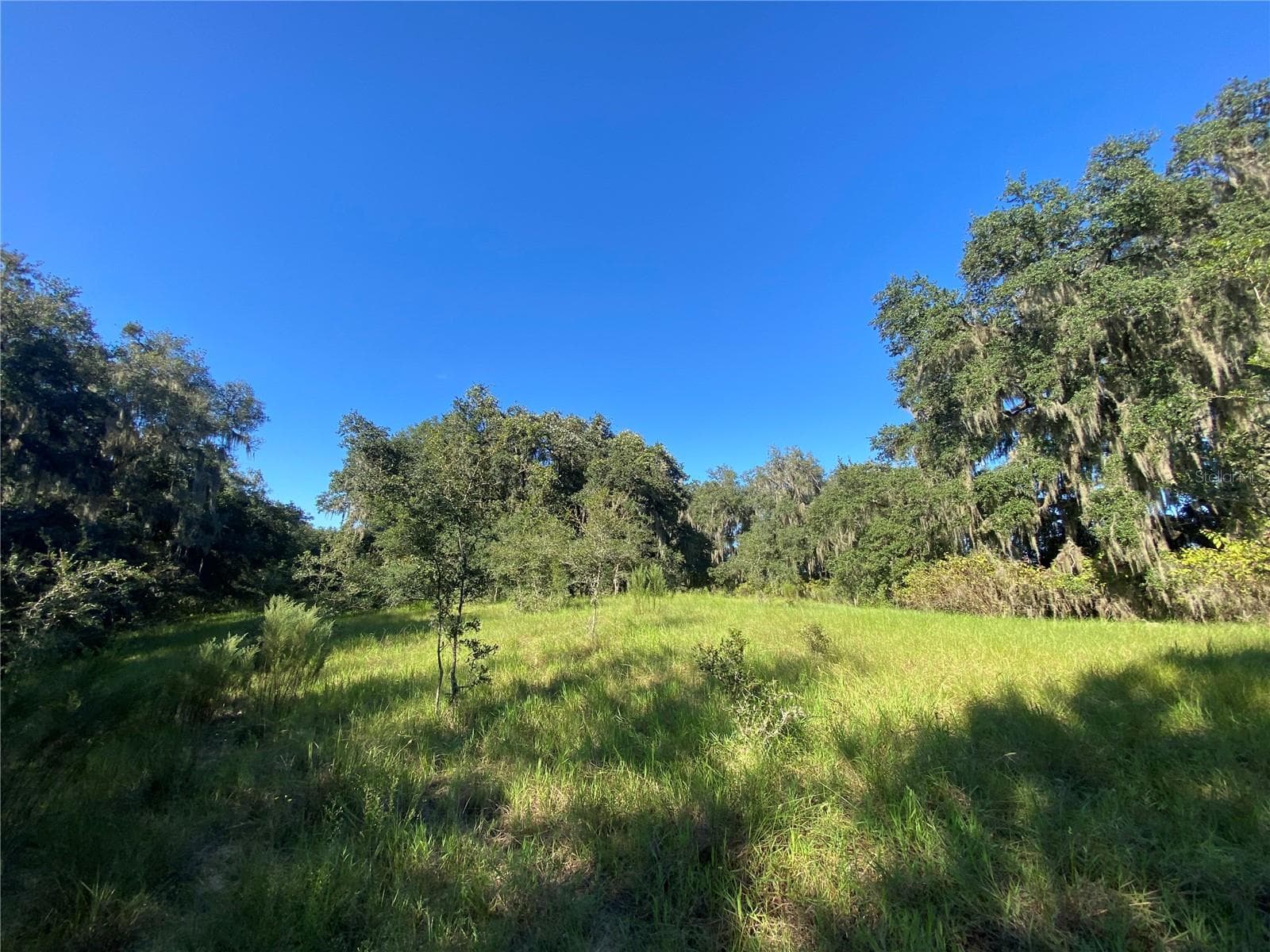 Land at 7373 E SAVANNAH CT, FLORAL CITY, photo 36 of 37