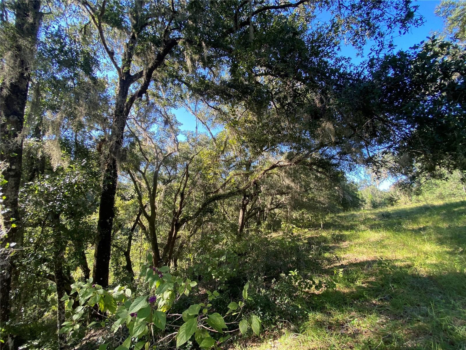 Land at 7373 E SAVANNAH CT, FLORAL CITY, photo 2 of 37