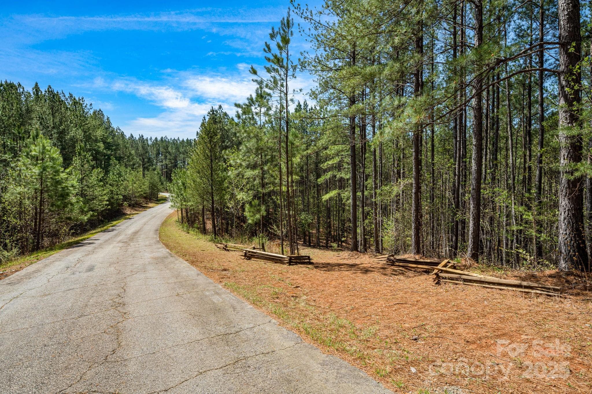 Street view from Sunset Drive. Gently sloping roughed in driveway leading down to the open lot. - Mill Spring
