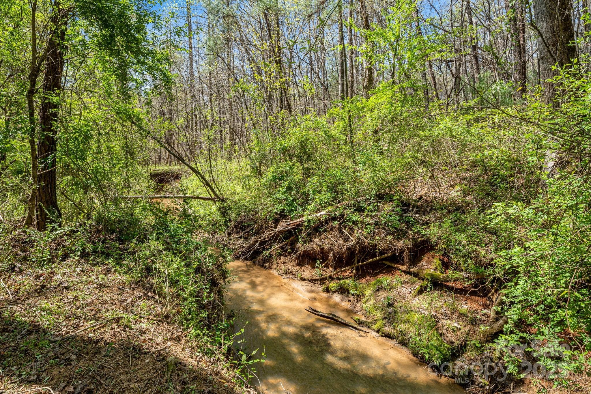 Creek/stream at back of lot. There are paths along the creek for exploring. - Mill Spring