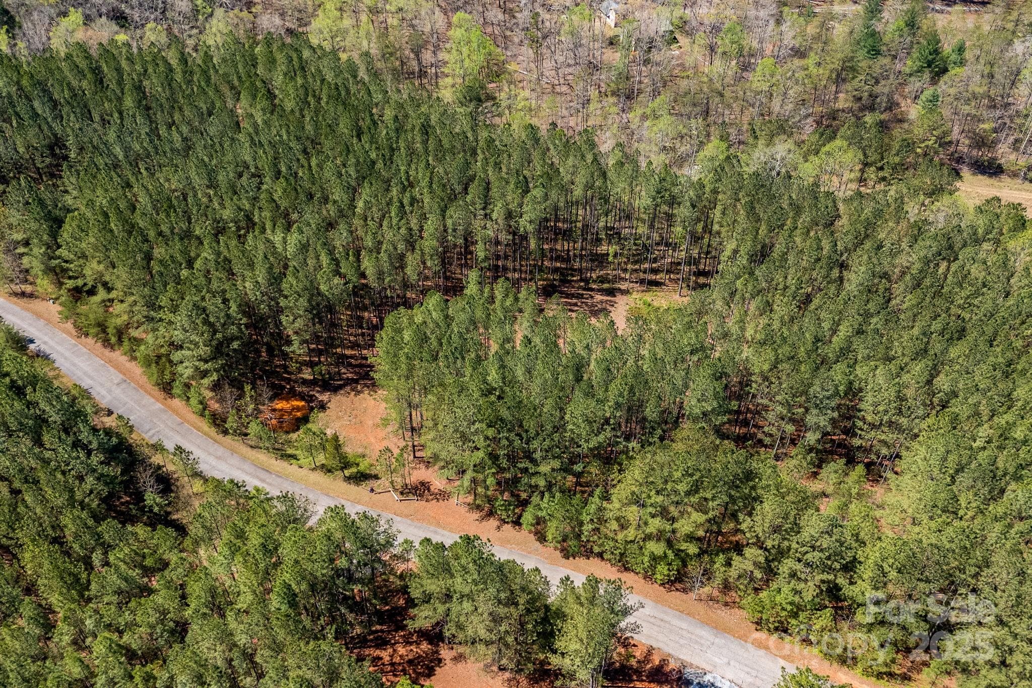 Aerial view. - Mill Spring