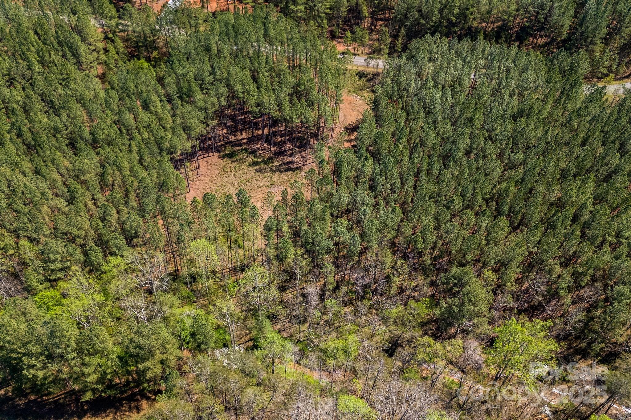 Aerial view. - Mill Spring
