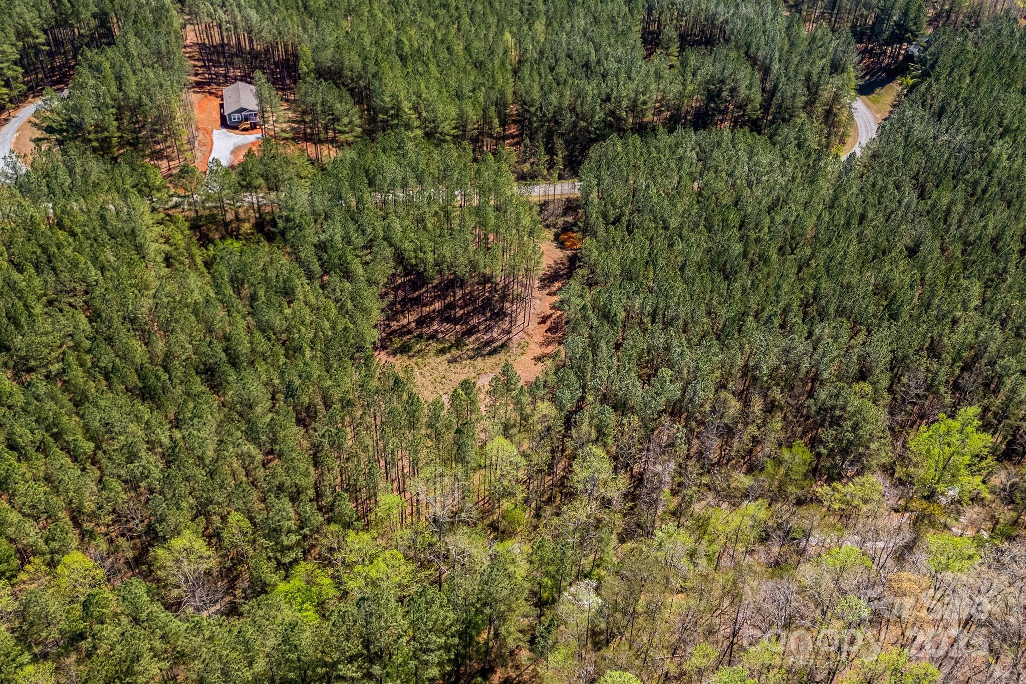 Aerial view. - Mill Spring