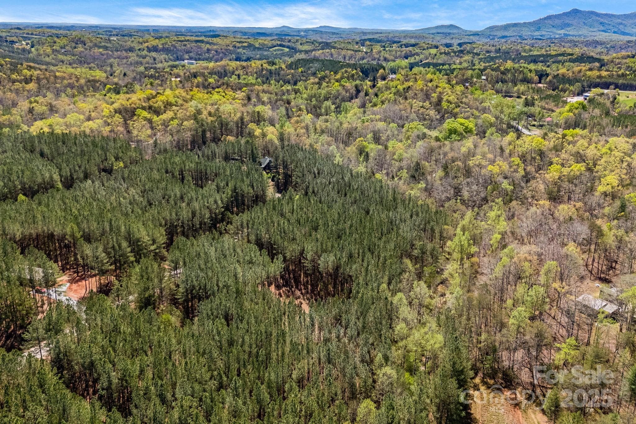 Aerial view. - Mill Spring