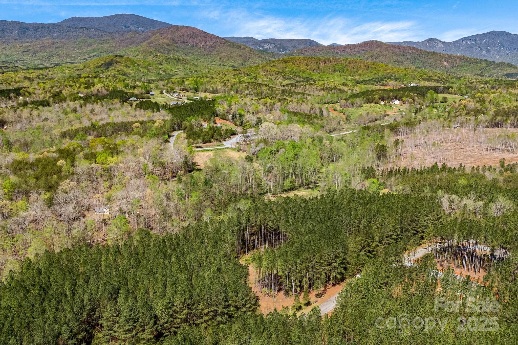 Aerial view. - Mill Spring
