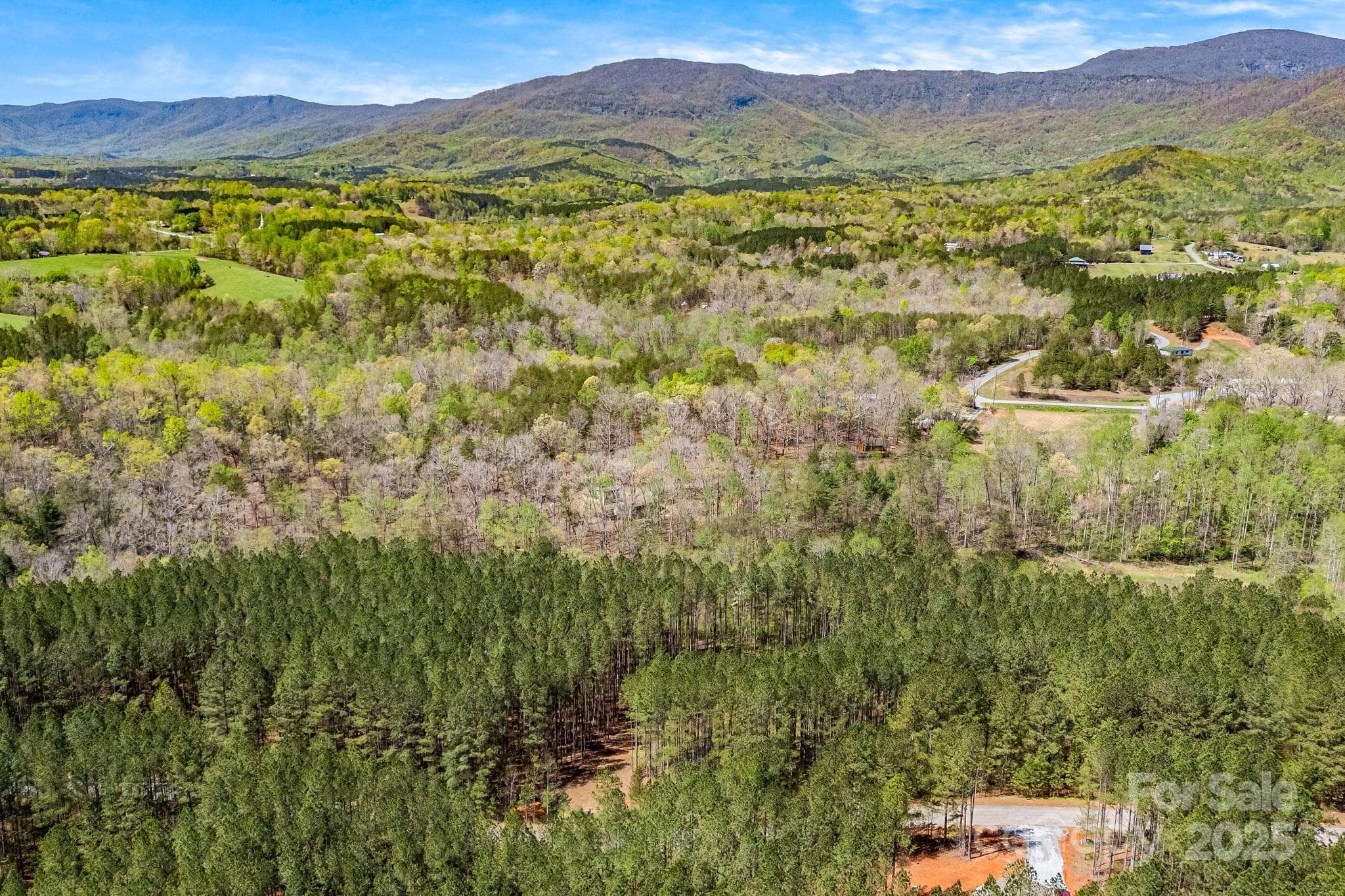 Aerial view. - Mill Spring