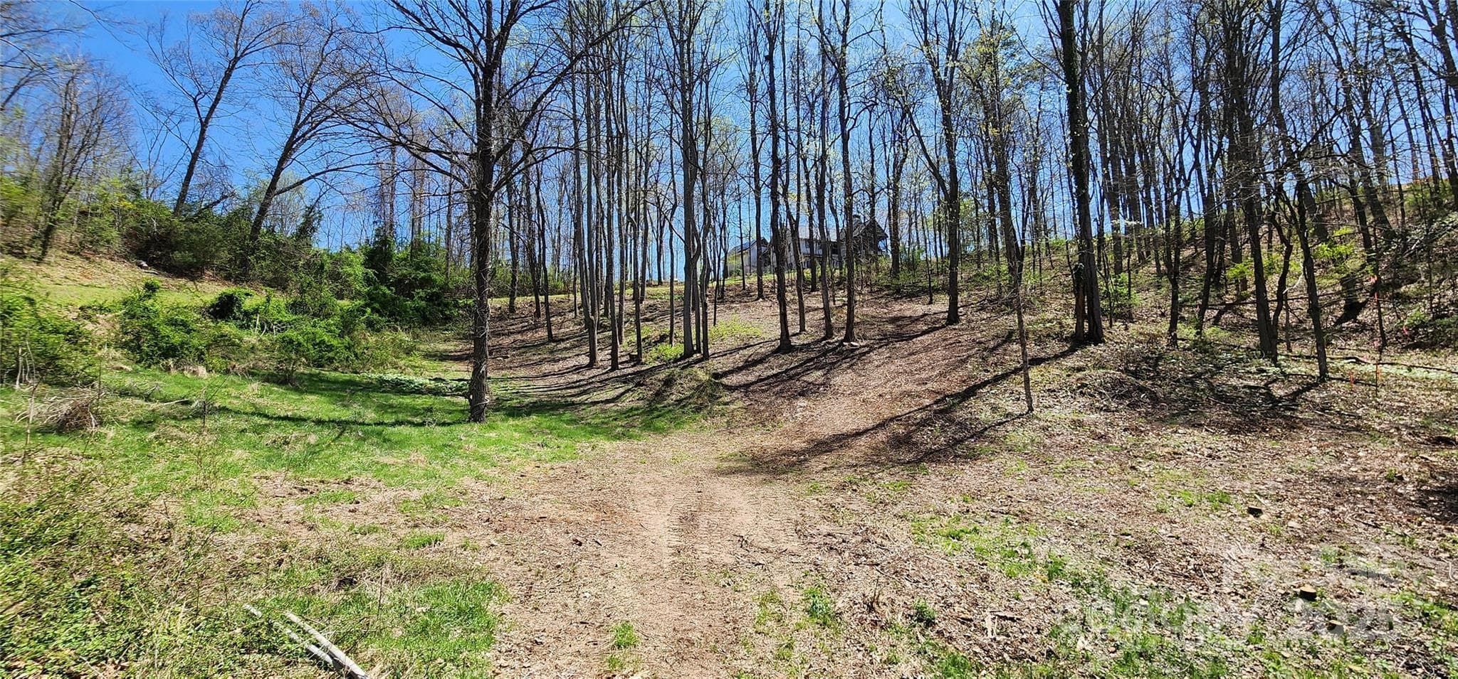 Lovely, gently-sloped land - Asheville