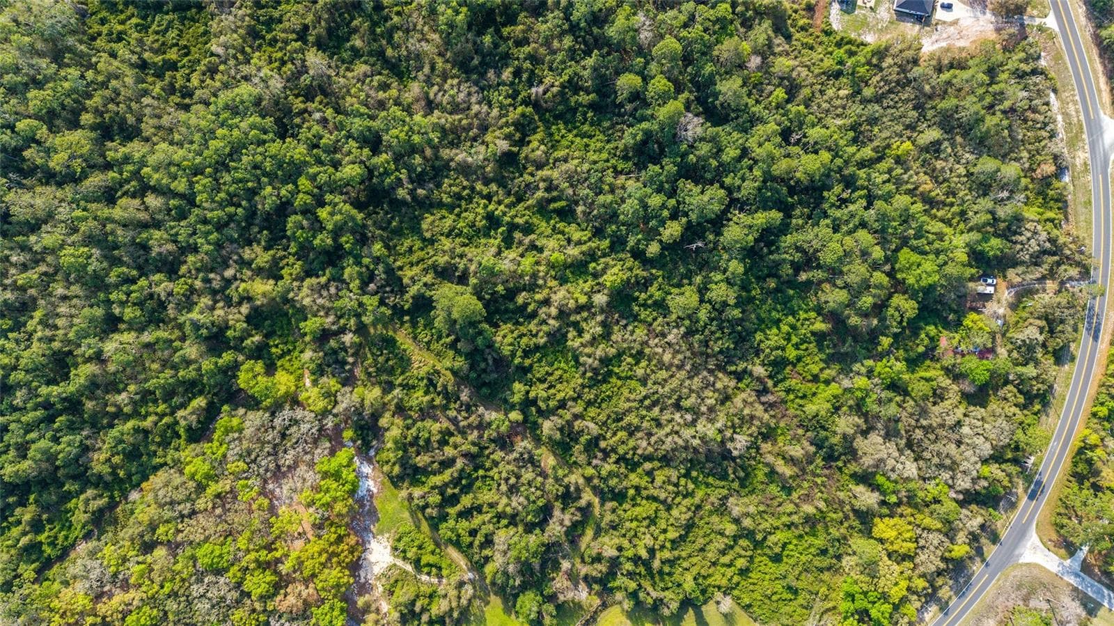 Land at 475 FISHER RD, OCKLAWAHA, photo 12 of 26