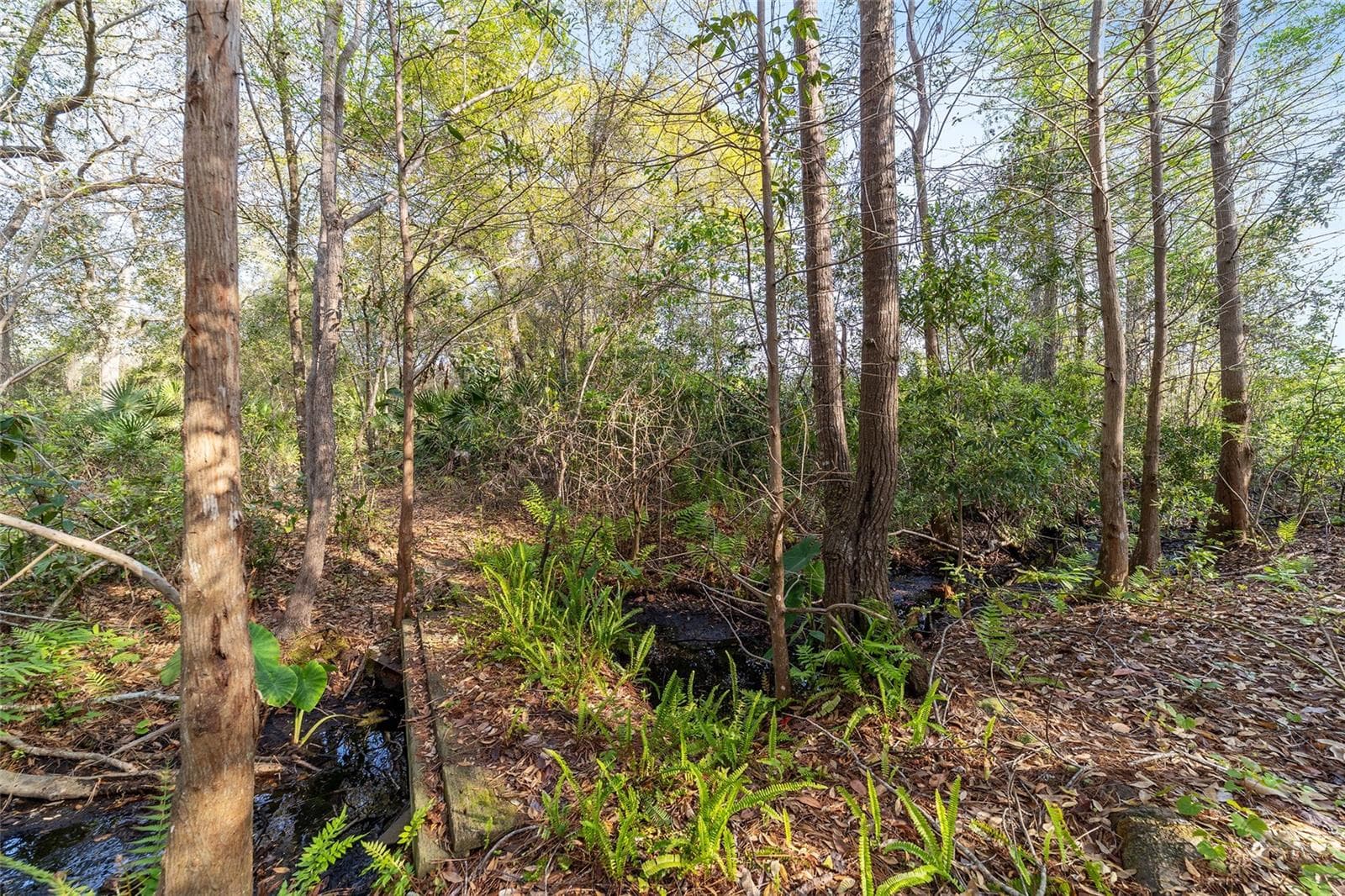 Land at 475 FISHER RD, OCKLAWAHA, photo 14 of 26