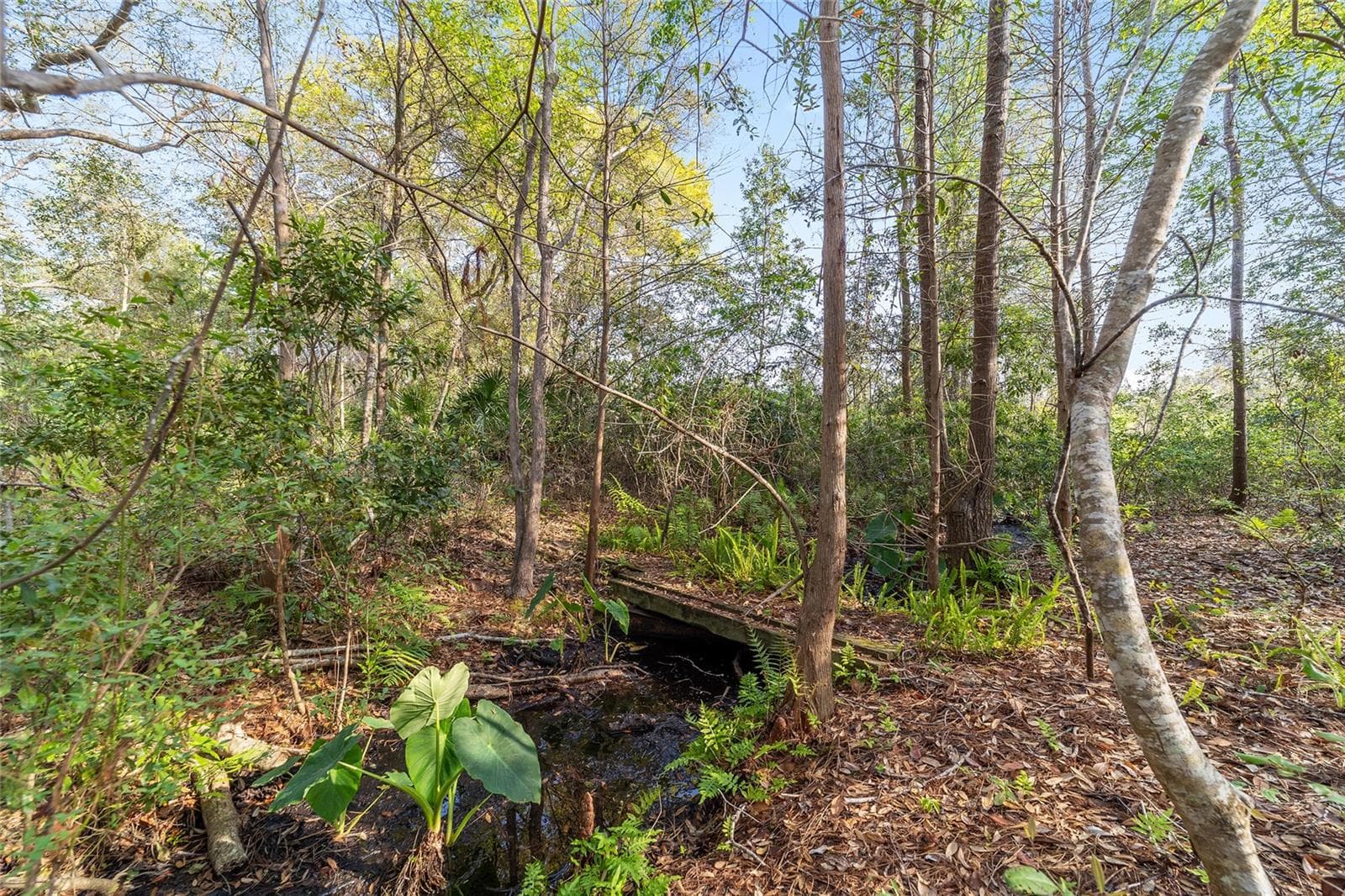 Land at 475 FISHER RD, OCKLAWAHA, photo 25 of 26