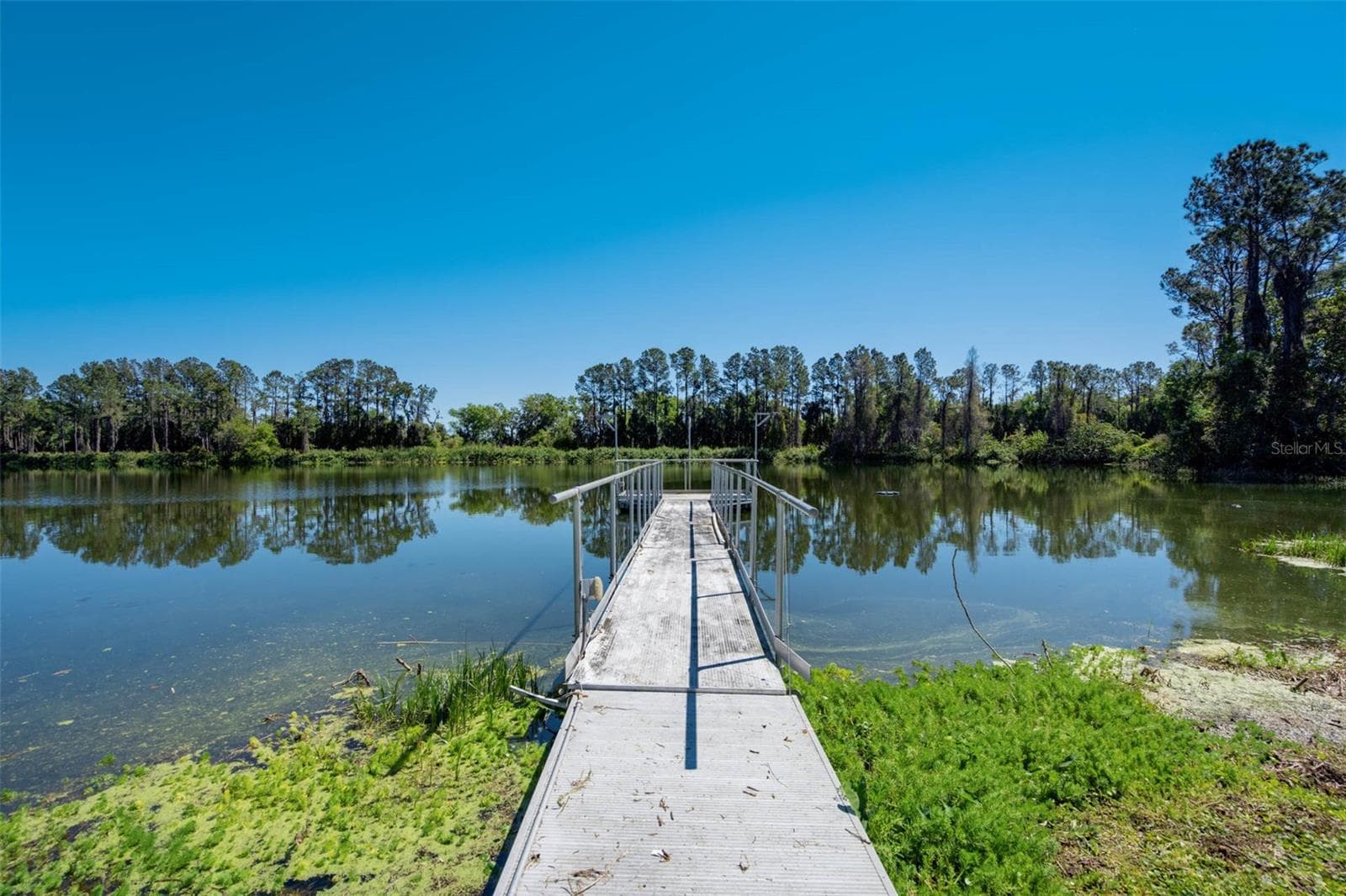 Single Family Residence at 701 E 60 HWY, PLANT CITY, photo 12 of 98