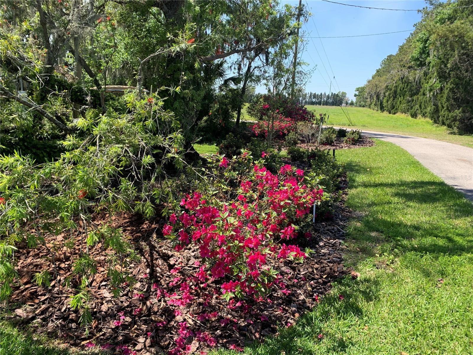 Single Family Residence at 701 E 60 HWY, PLANT CITY, photo 81 of 98
