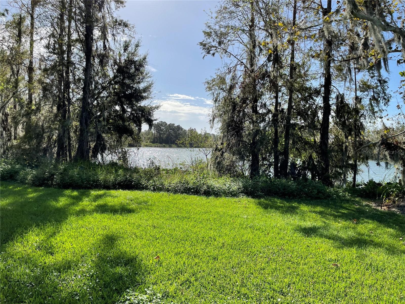 Single Family Residence at 701 E 60 HWY, PLANT CITY, photo 85 of 98