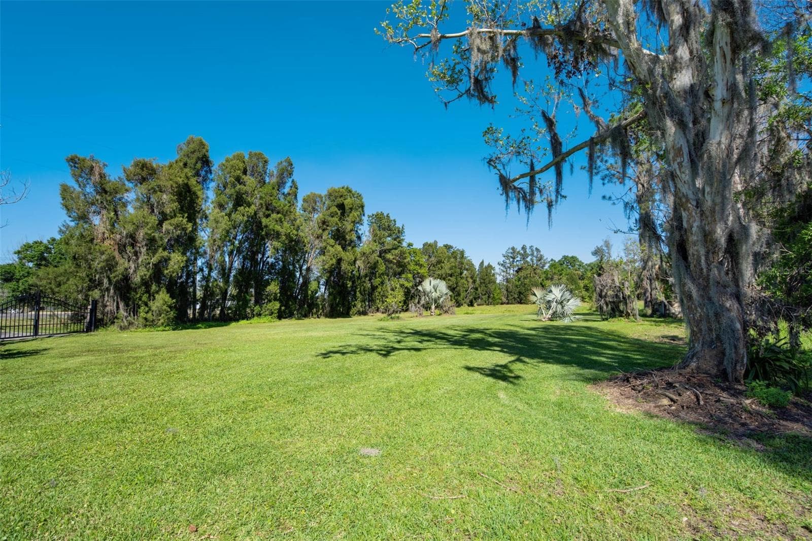 Single Family Residence at 701 E 60 HWY, PLANT CITY, photo 86 of 98