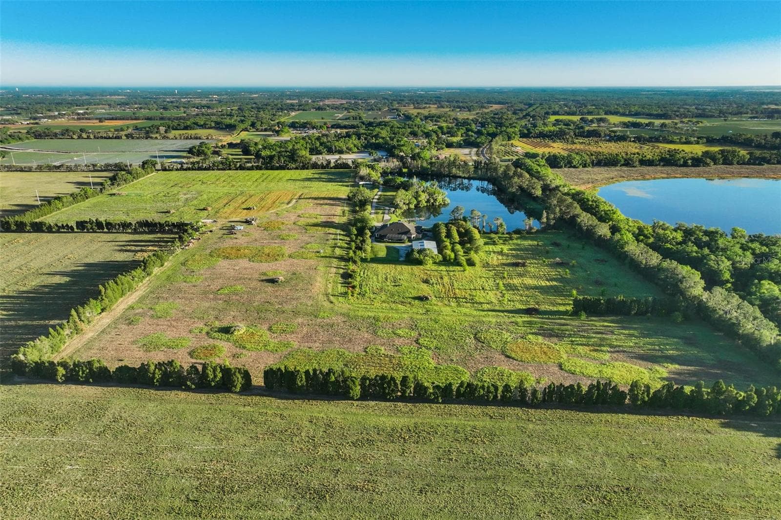 Large stately cedar trees line the property boundaries. - 701 E 60 HWY, PLANT CITY