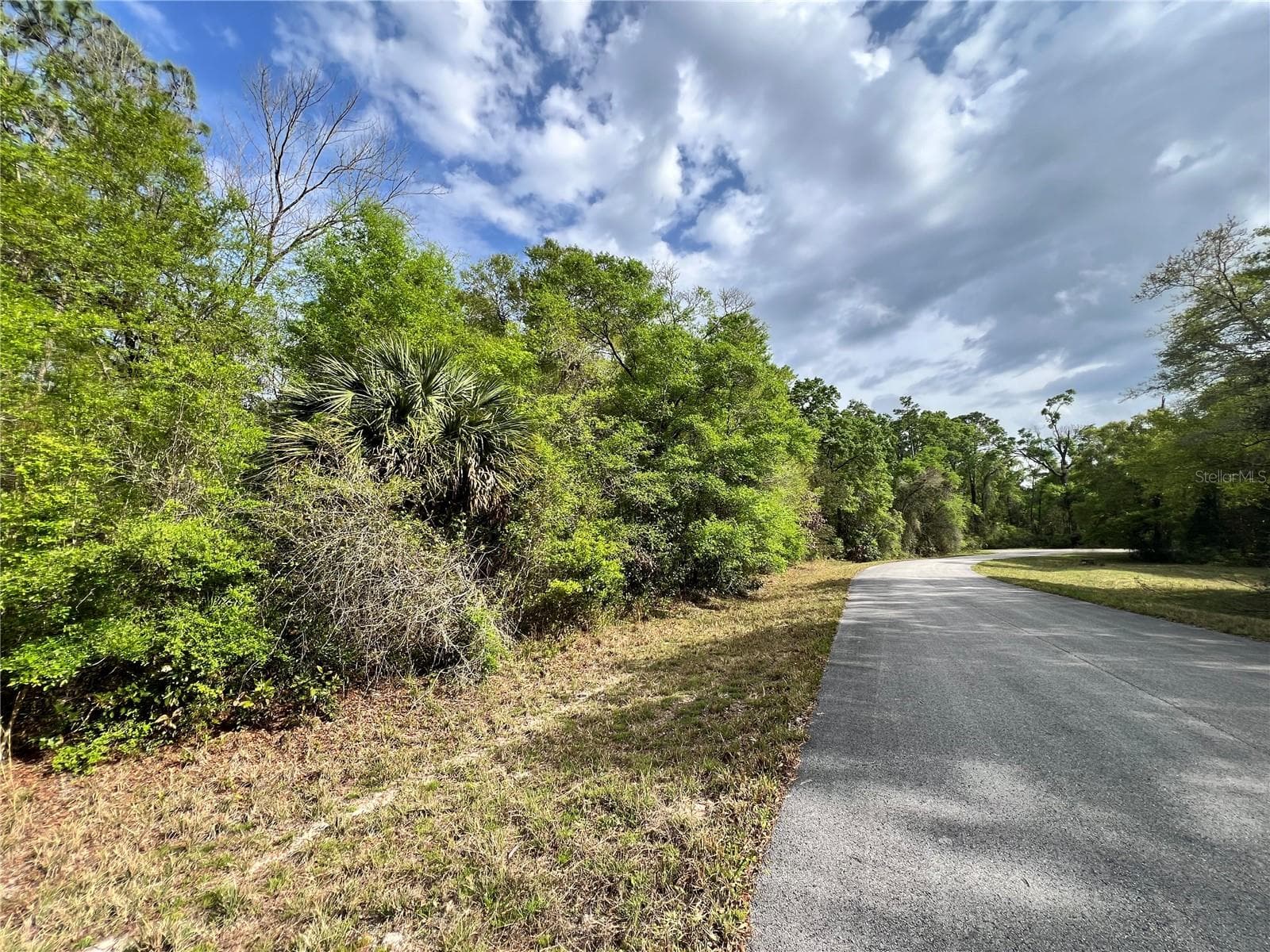 Land at NW 74TH CT #111, CHIEFLAND, photo 7 of 14