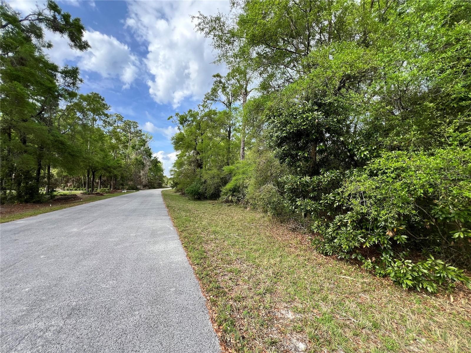 Land at NW 74TH CT #111, CHIEFLAND, photo 12 of 14